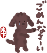 Kinoshita's toypoodle sticker sticker #12883050