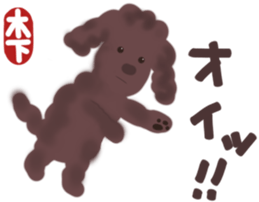 Kinoshita's toypoodle sticker sticker #12883057