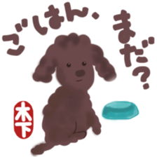 Kinoshita's toypoodle sticker sticker #12883063