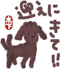 Kinoshita's toypoodle sticker sticker #12883066
