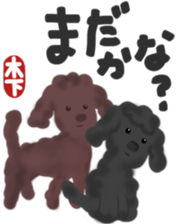 Kinoshita's toypoodle sticker sticker #12883067