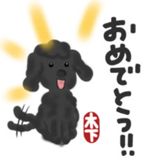 Kinoshita's toypoodle sticker sticker #12883068