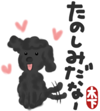 Kinoshita's toypoodle sticker sticker #12883069