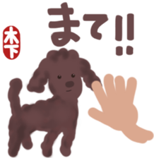 Kinoshita's toypoodle sticker sticker #12883074
