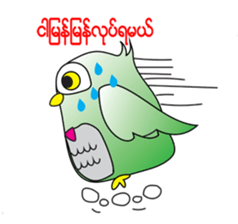 Little Owl of Myanmar sticker #12883698