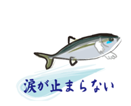 yellowtail gives it up sticker #12883724