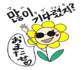 Korean-Japanese sunflower "tommy" ~T sticker #12889923