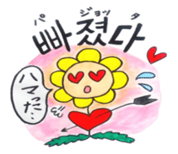 Korean-Japanese sunflower "tommy" ~T sticker #12889929