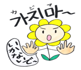 Korean-Japanese sunflower "tommy" ~T sticker #12889934