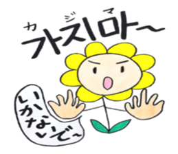 Korean-Japanese sunflower "tommy" ~T sticker #12889934