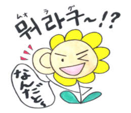 Korean-Japanese sunflower "tommy" ~T sticker #12889938