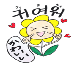 Korean-Japanese sunflower "tommy" ~T sticker #12889939