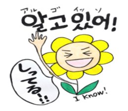 Korean-Japanese sunflower "tommy" ~T sticker #12889943