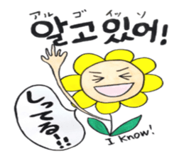 Korean-Japanese sunflower "tommy" ~T sticker #12889943