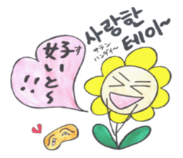 Korean-Japanese sunflower "tommy" ~T sticker #12889944