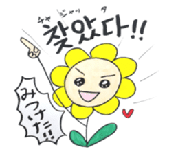 Korean-Japanese sunflower "tommy" ~T sticker #12889945