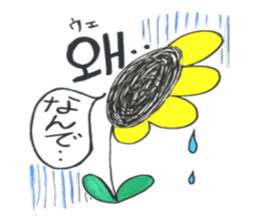 Korean-Japanese sunflower "tommy" ~T sticker #12889948