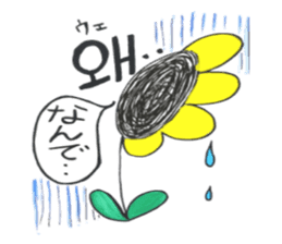 Korean-Japanese sunflower "tommy" ~T sticker #12889948