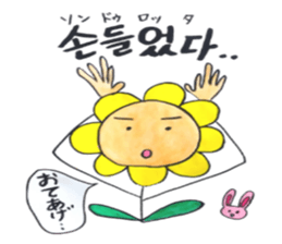 Korean-Japanese sunflower "tommy" ~T sticker #12889949