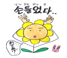 Korean-Japanese sunflower "tommy" ~T sticker #12889949