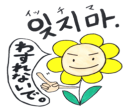 Korean-Japanese sunflower "tommy" ~T sticker #12889950