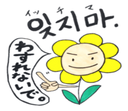 Korean-Japanese sunflower "tommy" ~T sticker #12889950