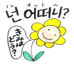 Korean-Japanese sunflower "tommy" ~T sticker #12889951