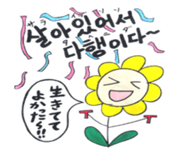 Korean-Japanese sunflower "tommy" ~T sticker #12889953