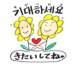 Korean-Japanese sunflower "tommy" ~T sticker #12889955