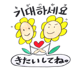 Korean-Japanese sunflower "tommy" ~T sticker #12889955