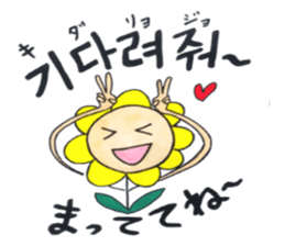 Korean-Japanese sunflower "tommy" ~T sticker #12889956