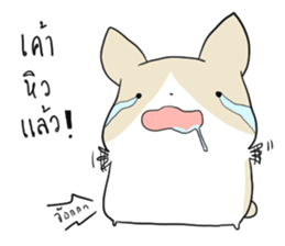 Exercisebear: bear and corgi sticker #12891033