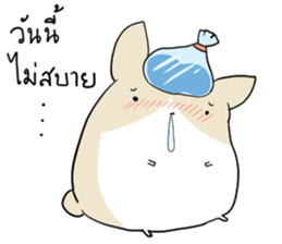 Exercisebear: bear and corgi sticker #12891037