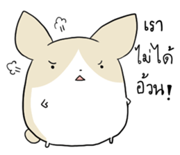 Exercisebear: bear and corgi sticker #12891038