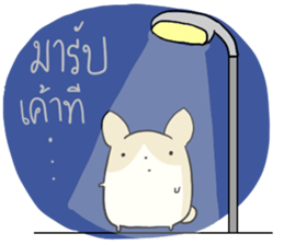 Exercisebear: bear and corgi sticker #12891054