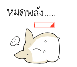 Exercisebear: bear and corgi sticker #12891056