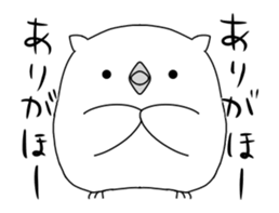 whte owl in motion sticker #12891681