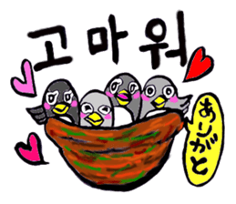 Bameko and her family in Korea sticker #12893472