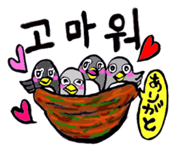 Bameko and her family in Korea sticker #12893472