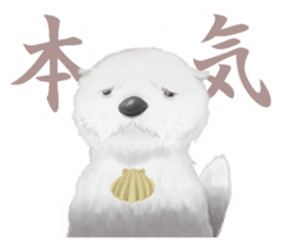 daiy plump sea otter sticker #12896501