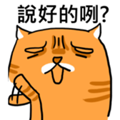 Cat Meow Meow Meow sticker #12898367