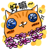 Cat Meow Meow Meow sticker #12898374
