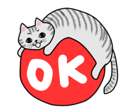 Cat of shima sticker #12900702