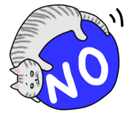 Cat of shima sticker #12900703