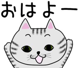 Cat of shima sticker #12900704