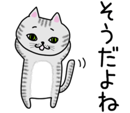 Cat of shima sticker #12900705