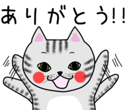 Cat of shima sticker #12900706