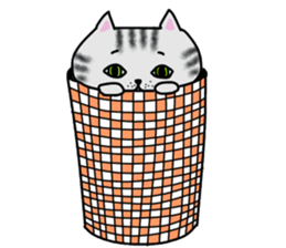 Cat of shima sticker #12900707