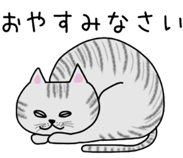 Cat of shima sticker #12900708