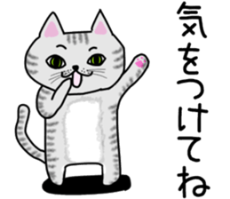 Cat of shima sticker #12900709
